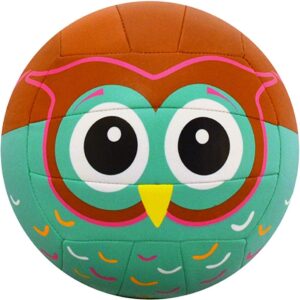 Molten Recreational Volleyball