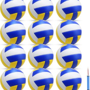 jiaonun 12 Pack Official Size 5 Volleyballs of Composite Leather for Womens, Mens, Youth, Teen, for Outdoor, Indoor, Beach, Pool (12 Pack)