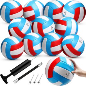 Vinsot 12 Pieces Size 5 Recreational Volleyballs with Air Pump Regulation Soft Volleyball Balls for Outdoor or Indoor Play, Waterproof, Sky Blue, White, Red