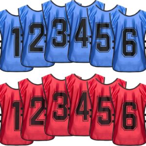 Scrimmage Training Vest – Soccer, Basketball, Football Bibs/Pinnies – Practice Jersey Pennies for Kids, Youth and Adults with Carry Bag
