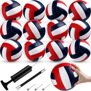 Meooeck 12 Pcs Volleyballs Official Size 5 Volley Balls Bulk Practice Volleyballs Indoor Outdoor Soft Recreational Volley Ball with Pump for Beginner Teen for Gym Training Beach Pool