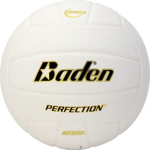 Baden | Perfection | Premium Leather | Indoor Official Game Volleyball | 13U to College | Official Size + Weight | NFHS + AVCA Approved