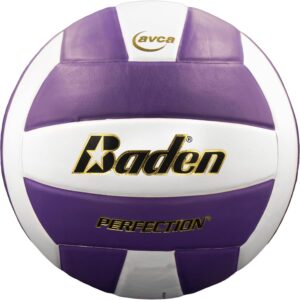 Baden | Perfection | Premium Leather | Indoor Official Game Volleyball | 13U to College | Official Size + Weight | NFHS + AVCA Approved