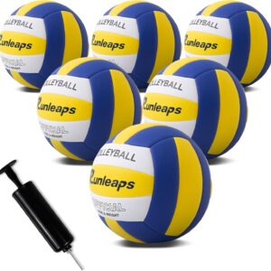 6 Pack Volleyballs, Waterproof Indoor Outdoor Volleyball for Beach Game Gym Training with Pump (Official Size 5)